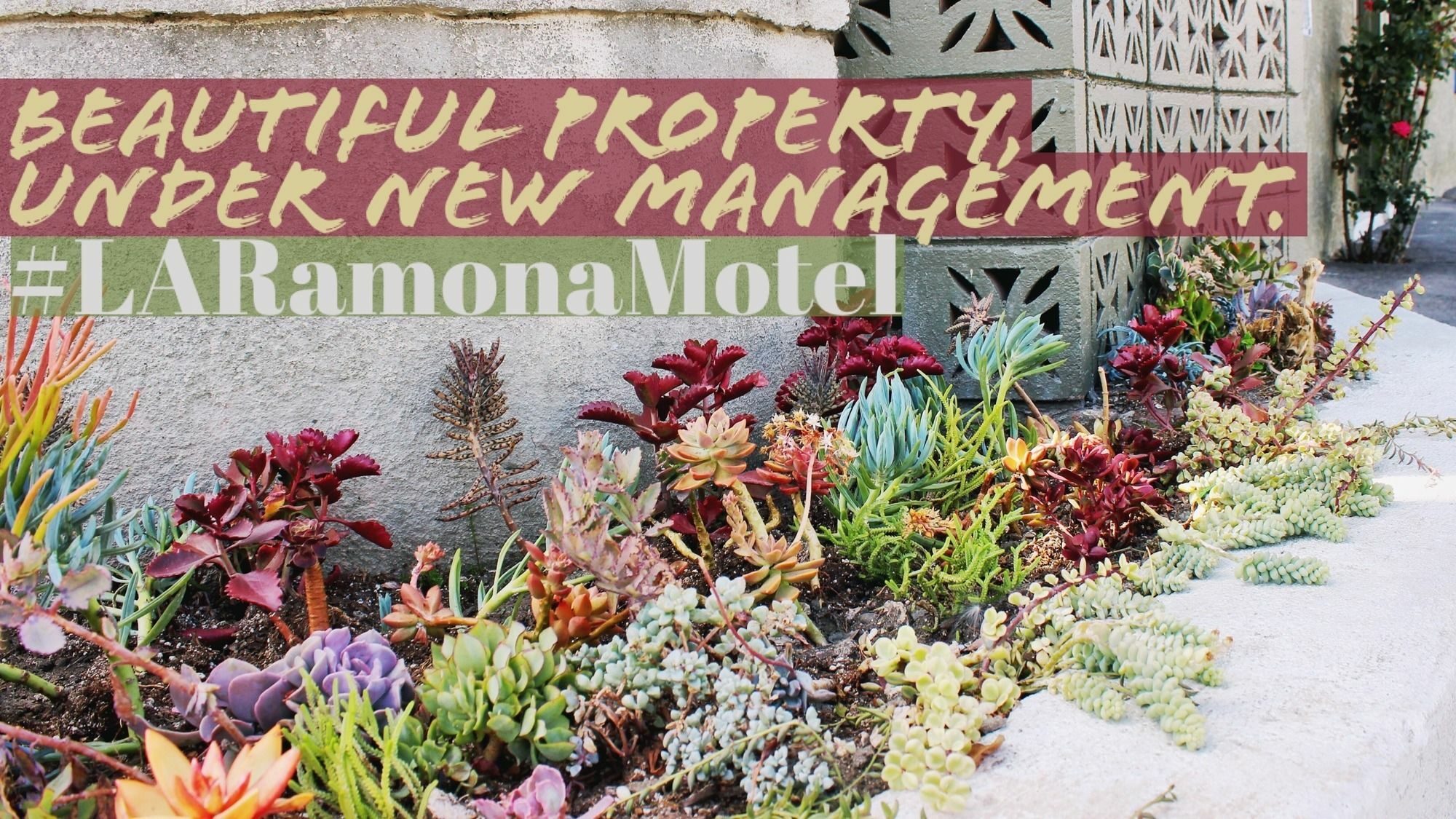 Ramona Motel Los Angeles Exterior foto